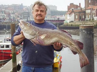 Whitby big cod angling festival