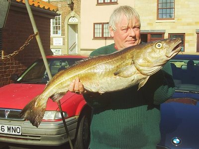 whitby angling festival autumn 2006 - big cod on sea otter 2