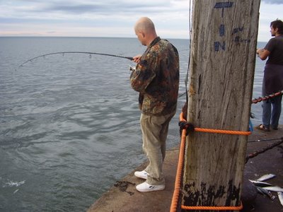 whitby mackerel fishing
