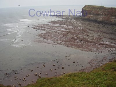 Staithes nab , cowbar nab , boulby cliffs whitestone gulley hummersea