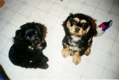 Thor and Loki in their early days.