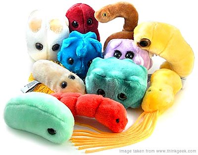 Giant store stuffed microbes