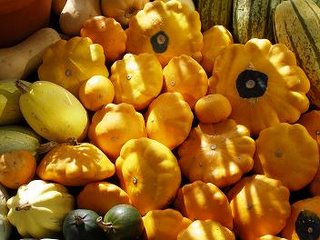 Bright orange squashes