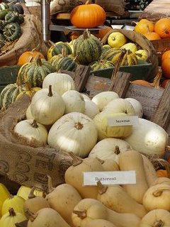 Lots of different squashes