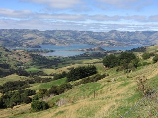 Photo taken by Rullsenberg: The view from Hilltop to Akaroa bay, South Island, New Zealand