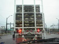 Not the truck I was behind but a close relative.
