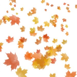 learn how to create autumn leaves in photoshop using this tutorial