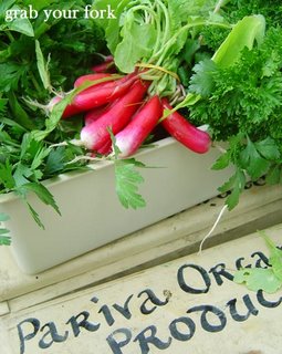 Organic radishes
