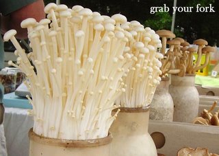 Pots of growing enoki and chestnut mushrooms