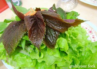 lettuce and herbs