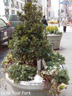 Potted Christmas tree on New York sidewalk
