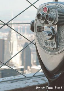 Viewing magnifier on top of Empire State Building