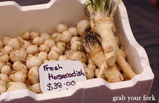 Fresh horseradish