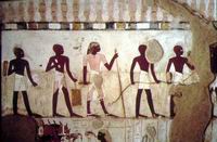 Ancient Egyptian Surveyors