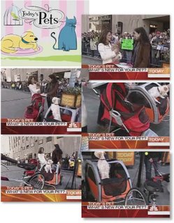 Pet Strollers on the Today Show