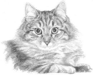 cat portrait by Lori Levin
