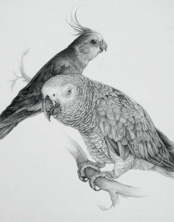Portrait of Birds