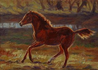 Foal by Lori Levin