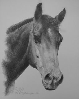 Horse Portrait by Lori Levin