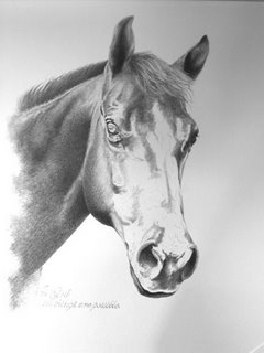 Horse Portrait by Levin