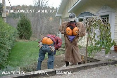 Funny Picture - Holloween Flashers