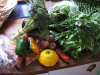 equiterre farm vegetables food basket program organic sustainable agriculture