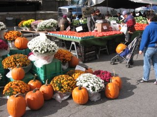 pumpkins baby stroller union square greenmarket