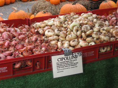 cipollini onions union square greenmarket