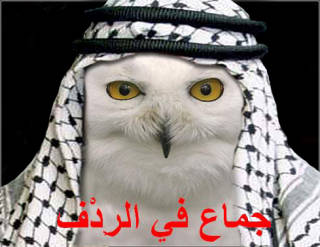 Arab%20Owl%20ORLY