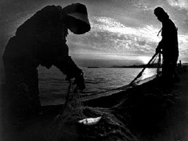 Pescadores cerca de Minamata