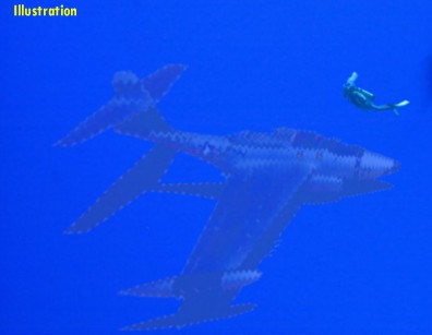 Kinross F-89 & Diver