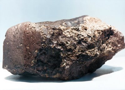 Martian Meteorite ALH 84001