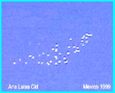 UFO Fleet Over Mexico 1999 B (Enhanced)