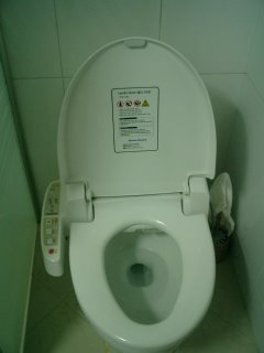Electronic Toilet