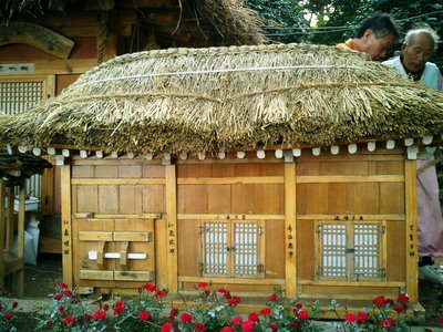 Thatched Roof Hut