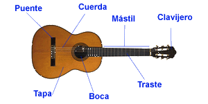 Las partes de la guitarra | Eduplaneta Musical