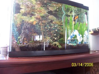 Derek's Aquarium