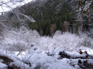 fourstream trail in the snow