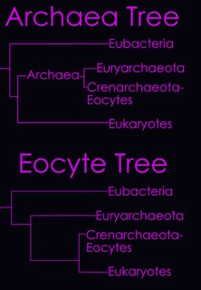 Archaea Eocyte Trees