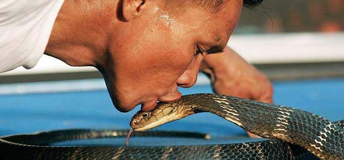 Мужчина змей в браке. Мужик и змея. Целует змею. Поцелуй со змеей. Мужчина со змеей.