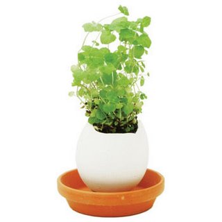 eggshell mini vase - plant mint