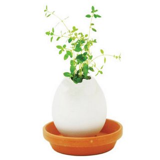 eggshell mini vase - plant thyme