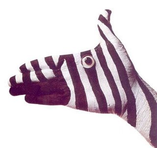 a zebra