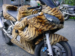 Tiger skin motorbike