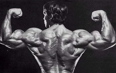 Arnold Schwarzenegger body building