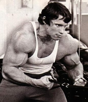 Arnold Schwarzenegger training in gymnasium