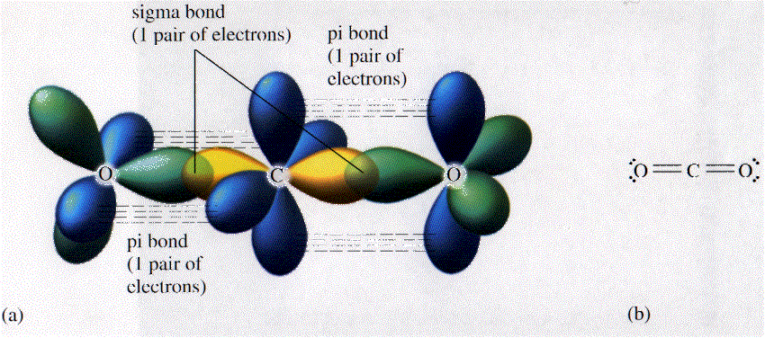 Сигма газ. Схема строения молекул co2. Молекула со2 гибридизация. Тип гибридизации в молекуле углекислого газа. Тип гибридизации в молекуле co2.