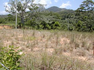 property, La Ceiba, Honduras