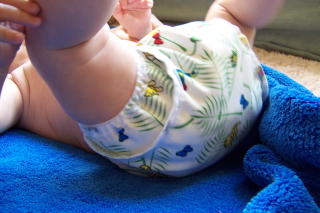 diaper covers - Motherease