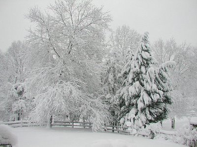 February Snowstorm (c) Dbyrd